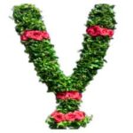 Tulasi Mala Wedding Significance