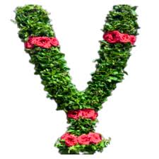 Tulasi Mala Wedding Significance