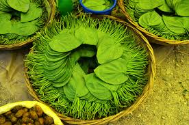 Betel Leaf Ritual Significance