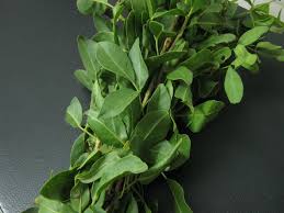 Koovalam Leaf Significance