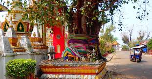 Sacred Peepal Tree Worship
