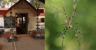 Palliyara Devi Temple Spider Worship