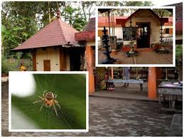Palliyara Devi Temple Spider Worship
