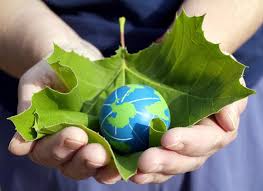 Indian Environmental Wisdom