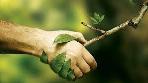 Indian Environmental Wisdom