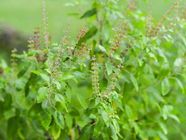 images (2)